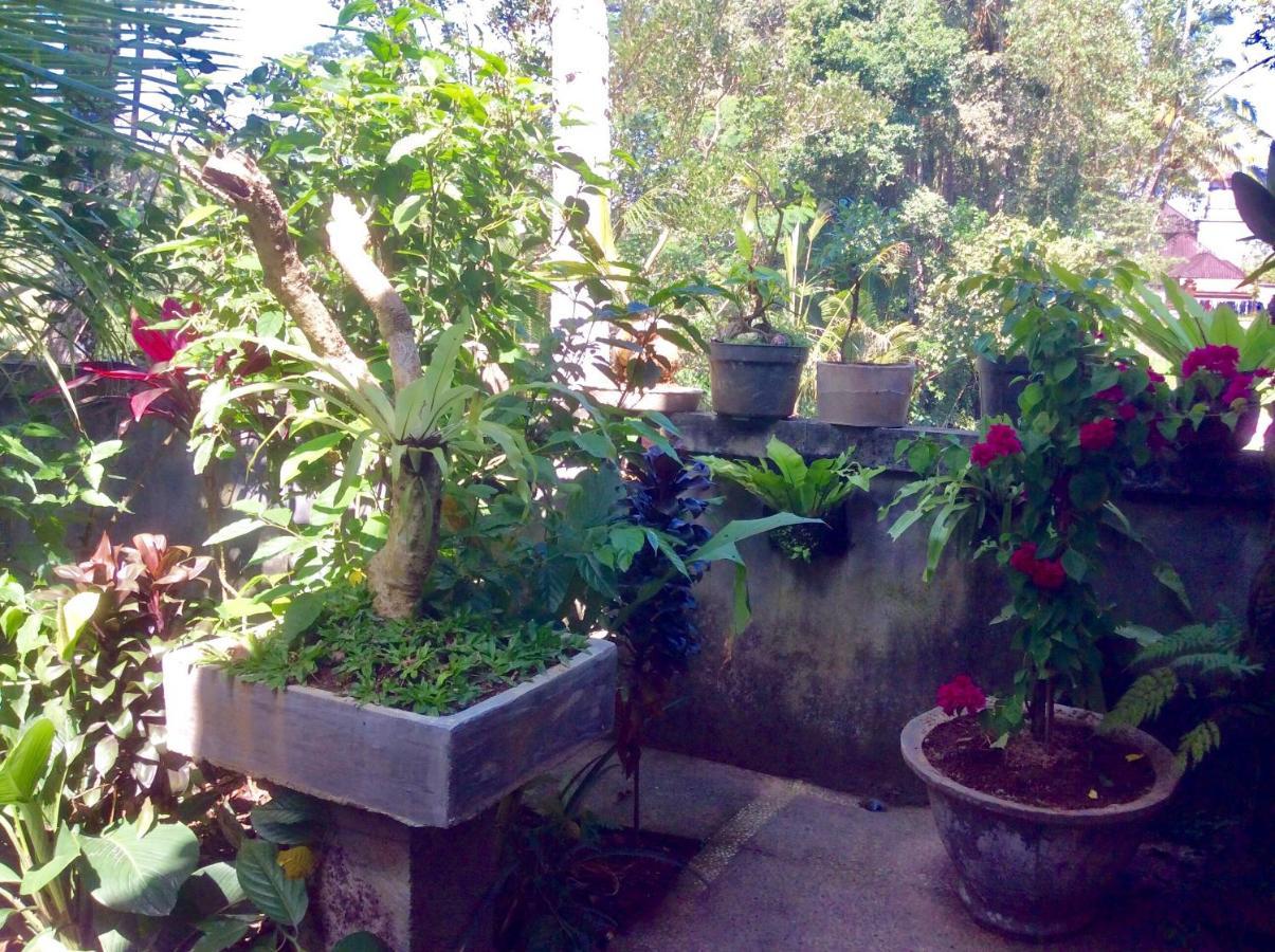 אובוד Rumah Irak Et Kadek Bali מראה חיצוני תמונה